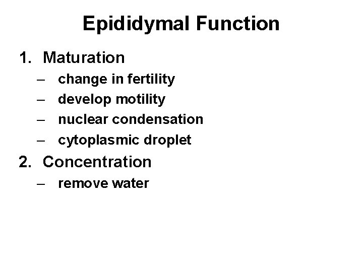 Epididymal Function 1. Maturation – – change in fertility develop motility nuclear condensation cytoplasmic Epididymal Function 1. Maturation – – change in fertility develop motility nuclear condensation cytoplasmic