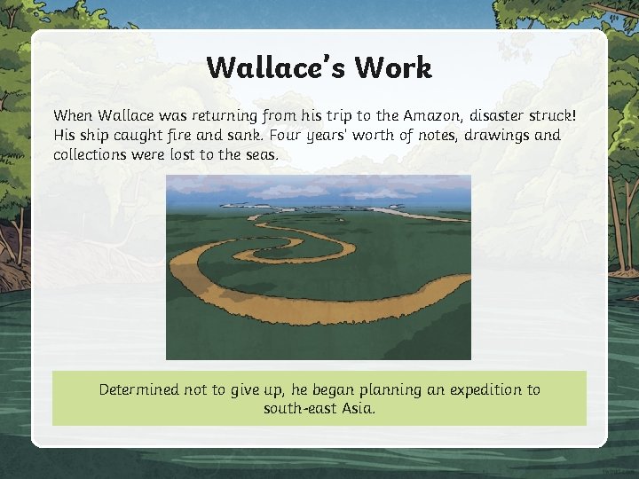 Wallace’s Work When Wallace was returning from his trip to the Amazon, disaster struck!