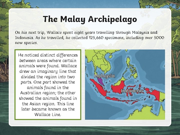 The Malay Archipelago On his next trip, Wallace spent eight years travelling through Malaysia
