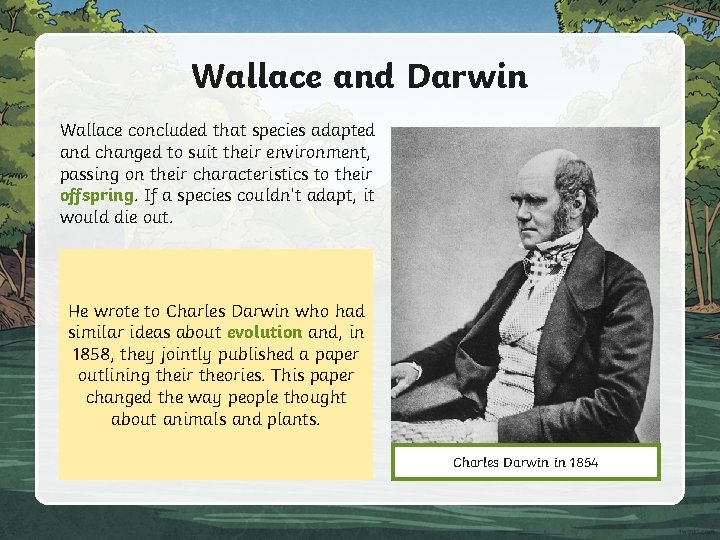 Wallace and Darwin Wallace concluded that species adapted and changed to suit their environment,