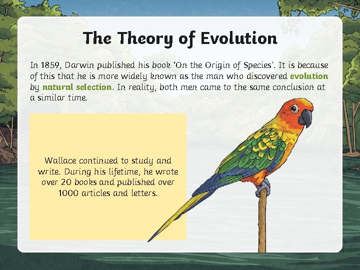 The Theory of Evolution In 1859, Darwin published his book ‘On the Origin of