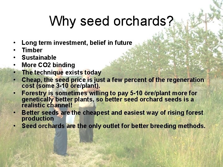 Why seed orchards? • • • Long term investment, belief in future Timber Sustainable