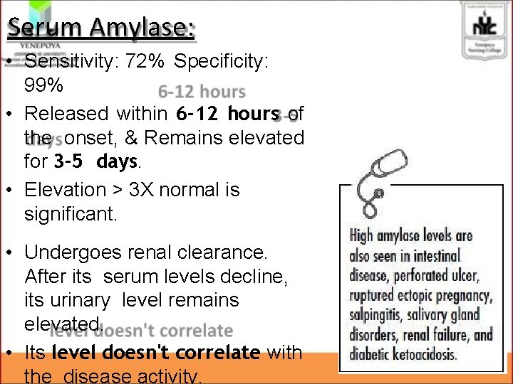 Serum Amylase: • Sensitivity: 72% Specificity: 99% • Released within 6 -12 hours of Serum Amylase: • Sensitivity: 72% Specificity: 99% • Released within 6 -12 hours of