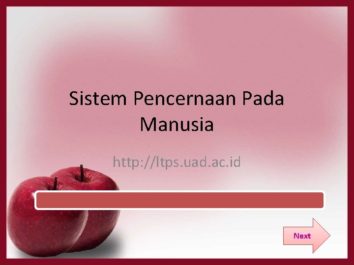 Sistem Pencernaan Pada Manusia http: //ltps. uad. ac. id Next 