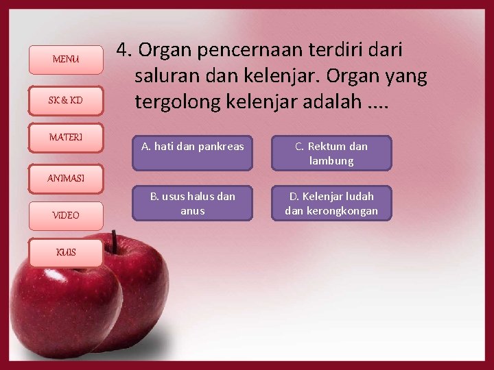 MENU SK & KD MATERI 4. Organ pencernaan terdiri dari saluran dan kelenjar. Organ