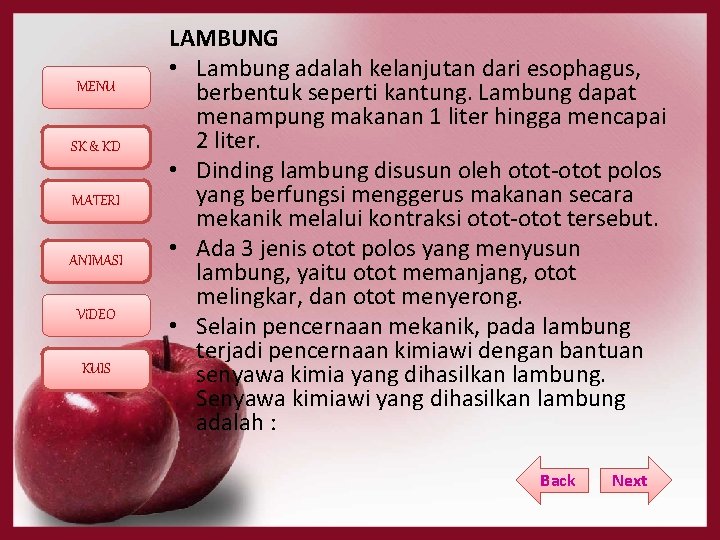 MENU SK & KD MATERI ANIMASI Vi. DEO KUIS LAMBUNG • Lambung adalah kelanjutan