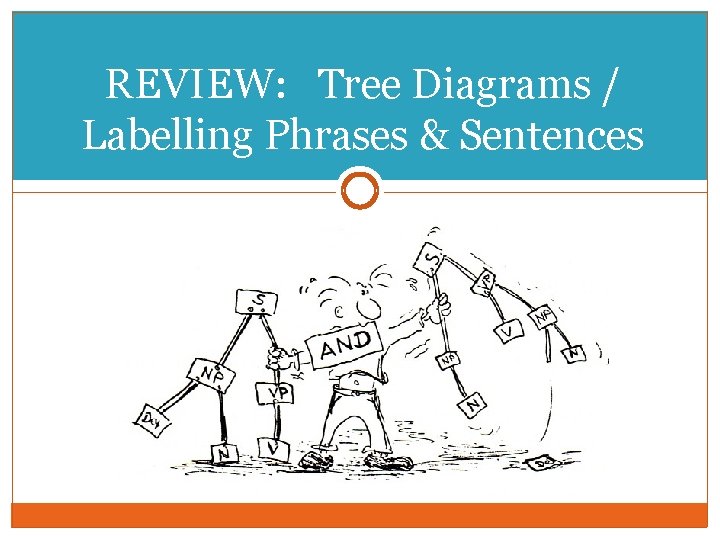 REVIEW: Tree Diagrams / Labelling Phrases & Sentences 