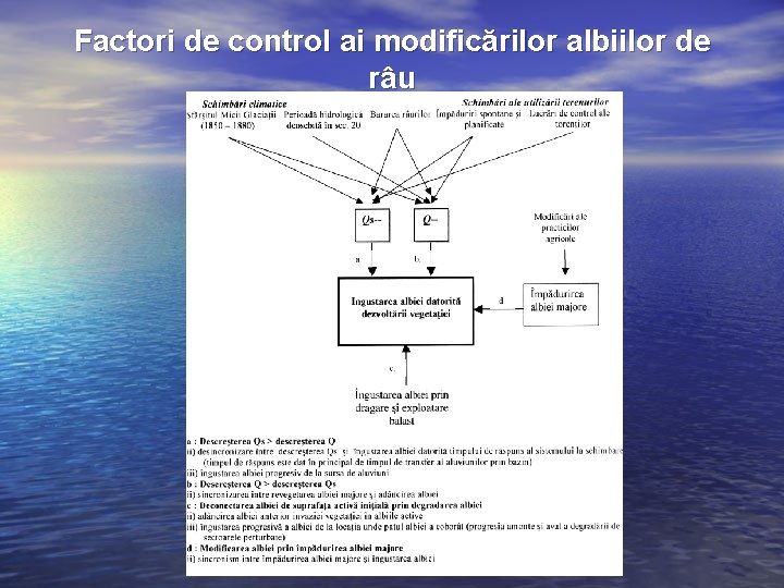 Factori de control ai modificărilor albiilor de râu 
