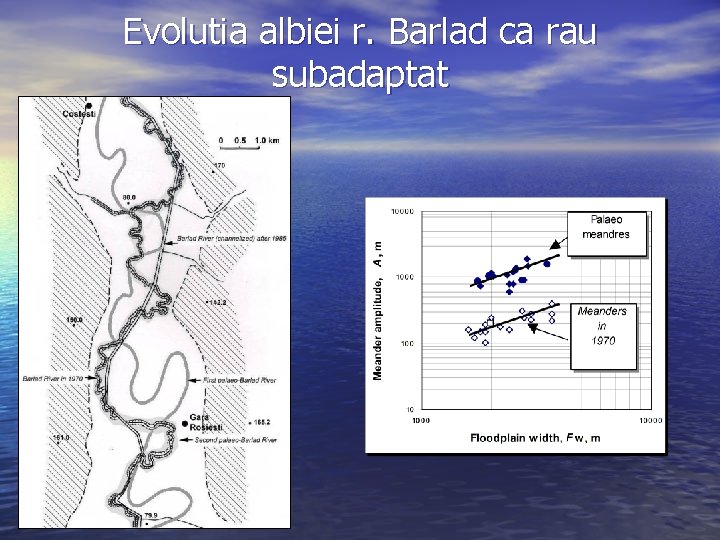 Evolutia albiei r. Barlad ca rau subadaptat 