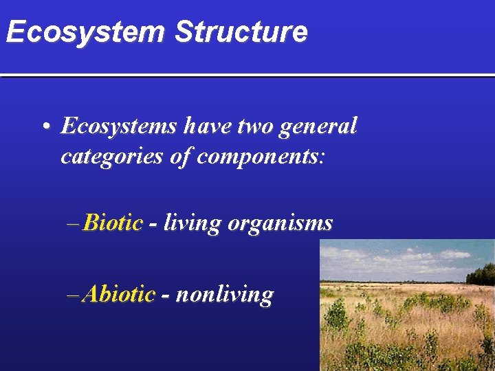 Ecosystem Structure • Ecosystems have two general categories of components: – Biotic - living