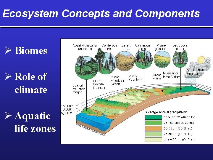 Ecosystem Concepts and Components Ø Biomes Ø Role of climate Ø Aquatic life zones