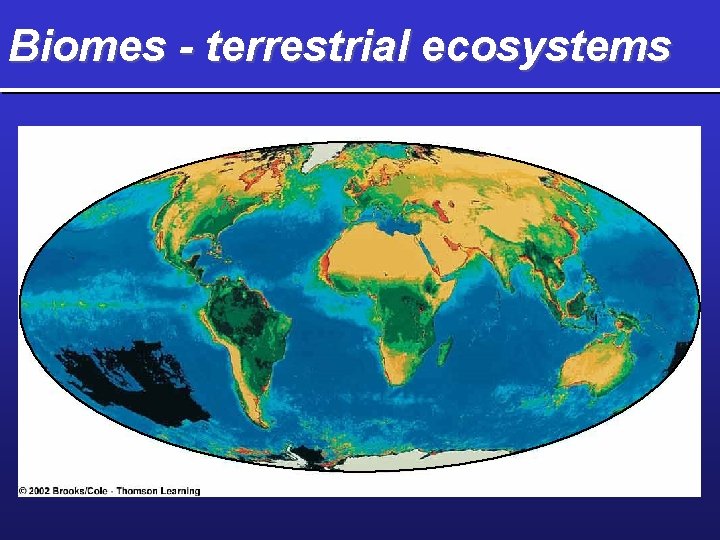 Biomes - terrestrial ecosystems 