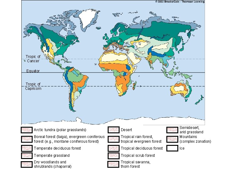 Tropic of Cancer Equator Tropic of Capricorn Arctic tundra (polar grasslands) Desert Boreal forest