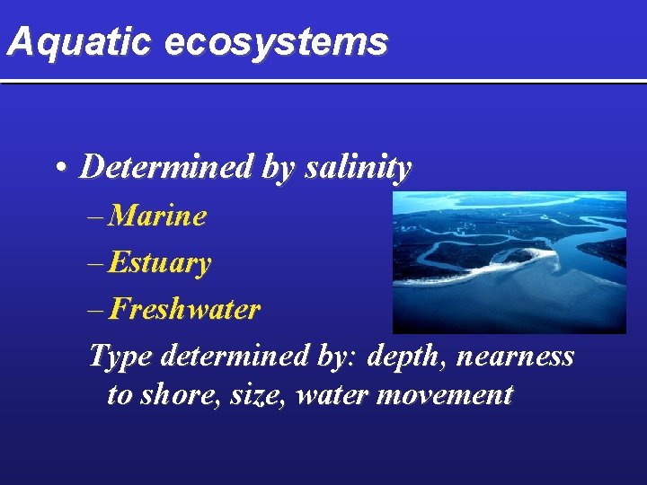 Aquatic ecosystems • Determined by salinity – Marine – Estuary – Freshwater Type determined