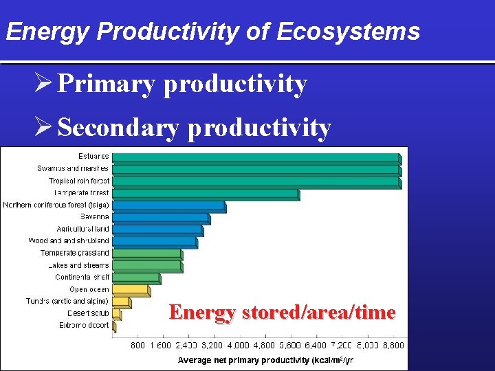 Energy Productivity of Ecosystems Ø Primary productivity Ø Secondary productivity Energy stored/area/time 