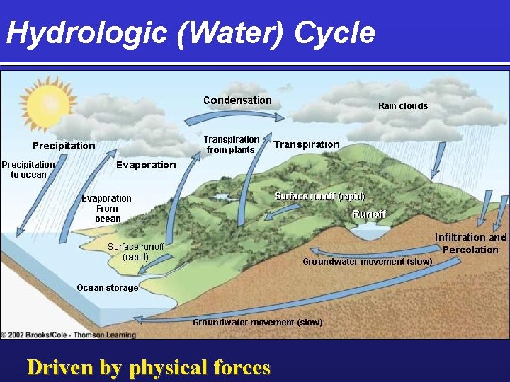 Hydrologic (Water) Cycle Driven by physical forces 