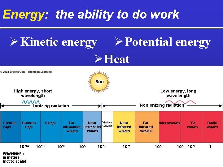 Energy: the ability to do work Ø Kinetic energy Ø Potential energy Ø Heat