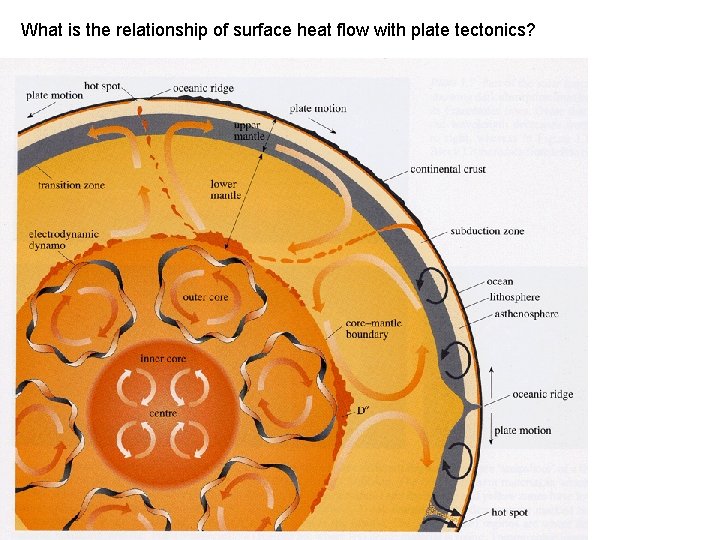 What is the relationship of surface heat flow with plate tectonics? 