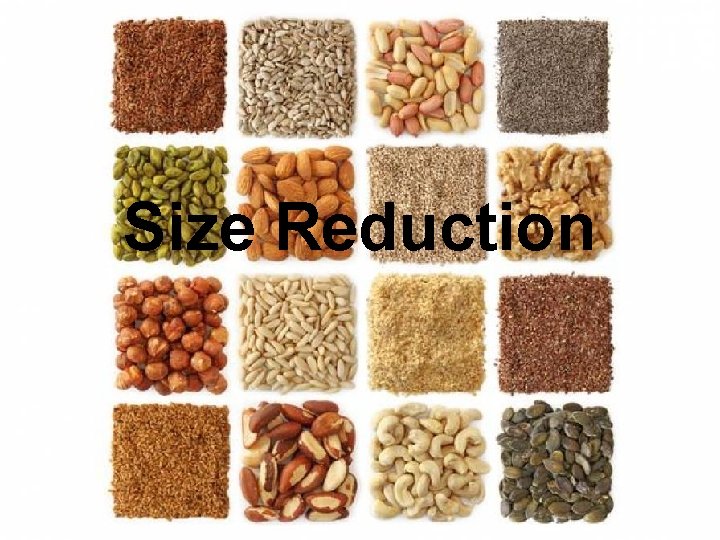 Size Reduction 