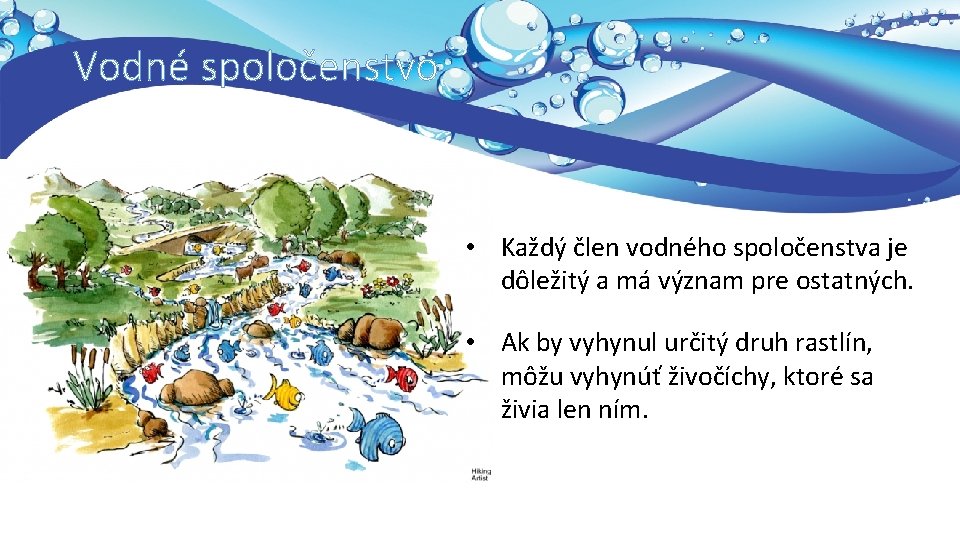 Vodné spoločenstvo • Každý člen vodného spoločenstva je dôležitý a má význam pre ostatných.
