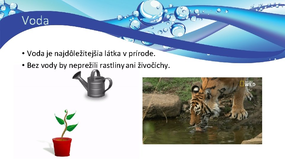 Voda • Voda je najdôležitejšia látka v prírode. • Bez vody by neprežili rastliny