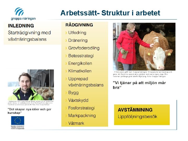 Arbetssätt- Struktur i arbetet 