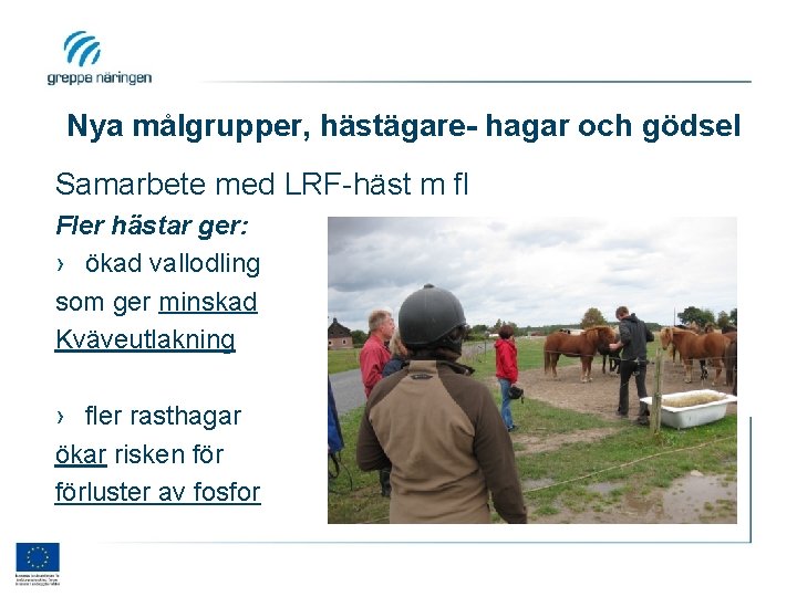 Nya målgrupper, hästägare- hagar och gödsel Samarbete med LRF-häst m fl Fler hästar ger: