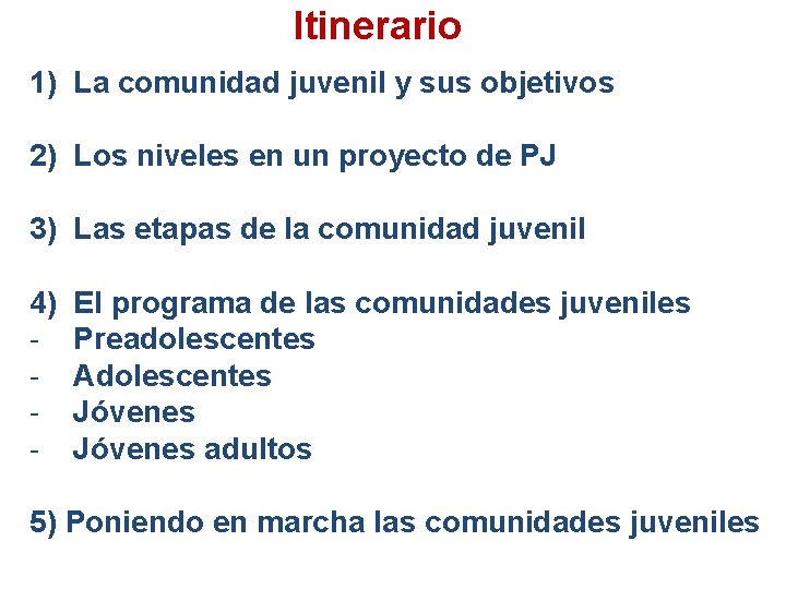 Itinerario 1) La comunidad juvenil y sus objetivos 2) Los niveles en un proyecto