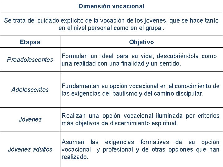 Dimensión vocacional Se trata del cuidado explícito de la vocación de los jóvenes, que