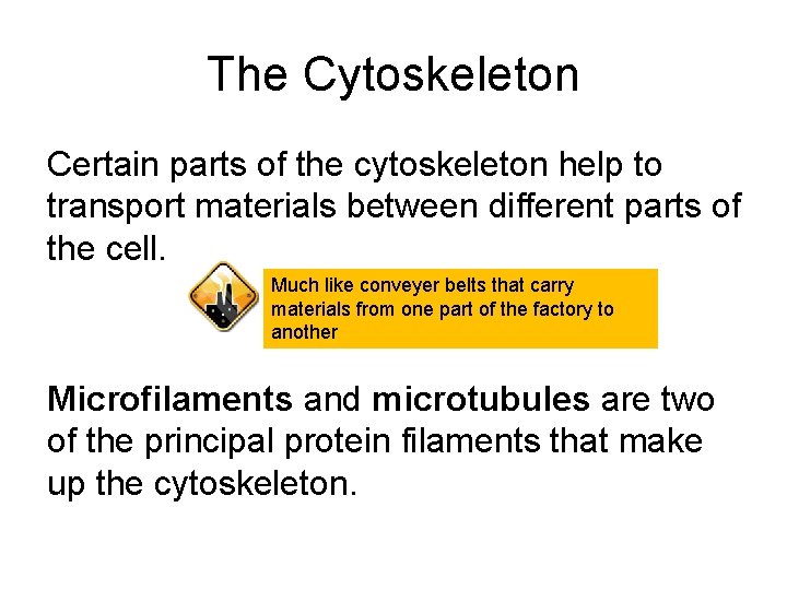 The Cytoskeleton Certain parts of the cytoskeleton help to transport materials between different parts