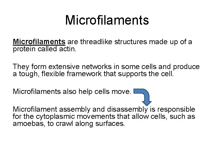 Microfilaments are threadlike structures made up of a protein called actin. They form extensive