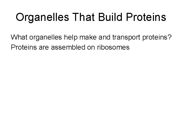 Organelles That Build Proteins What organelles help make and transport proteins? Proteins are assembled