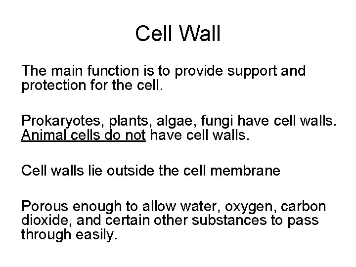 Cell Wall The main function is to provide support and protection for the cell.