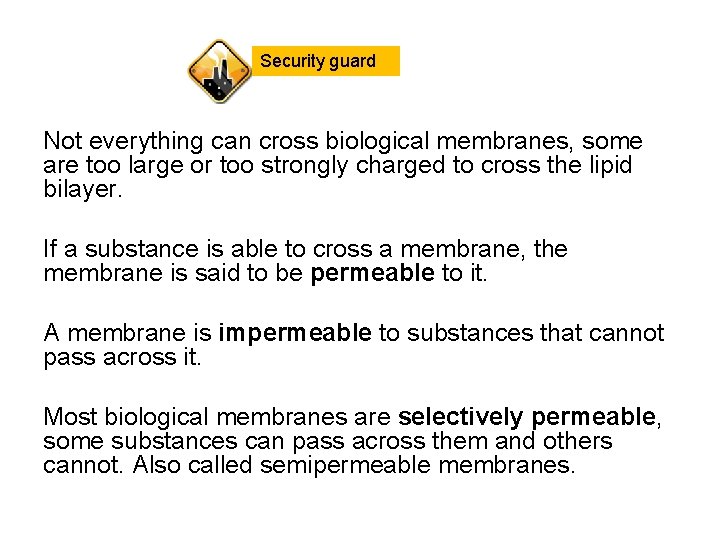 Security guard Not everything can cross biological membranes, some are too large or too