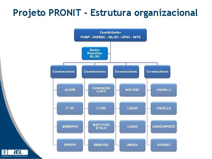 Projeto PRONIT - Estrutura organizacional Projeto PRONIT - Estrutura organizacional