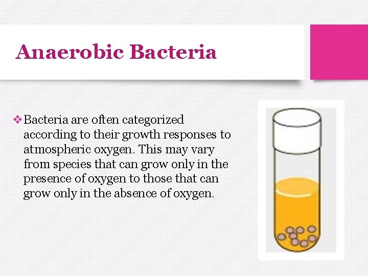 Anaerobic Bacteria v. Bacteria are often categorized according to their growth responses to atmospheric
