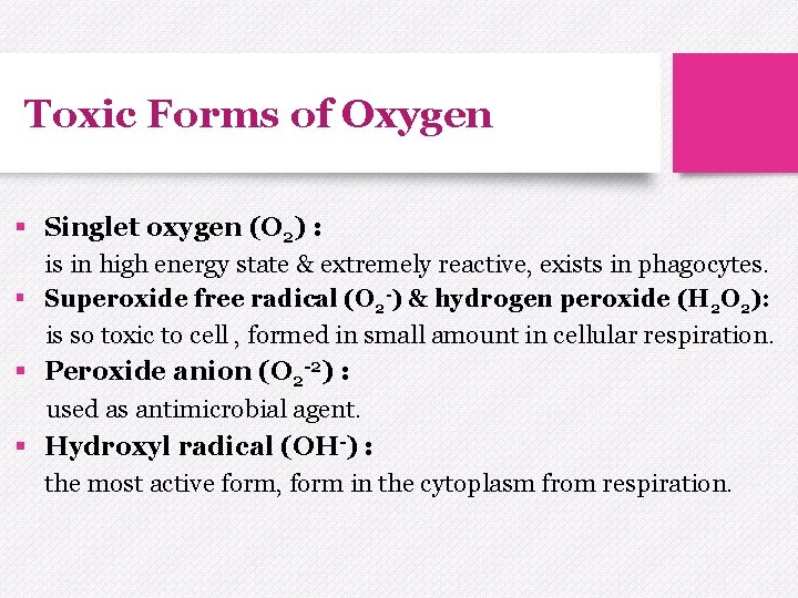 Toxic Forms of Oxygen § Singlet oxygen (O 2) : is in high energy