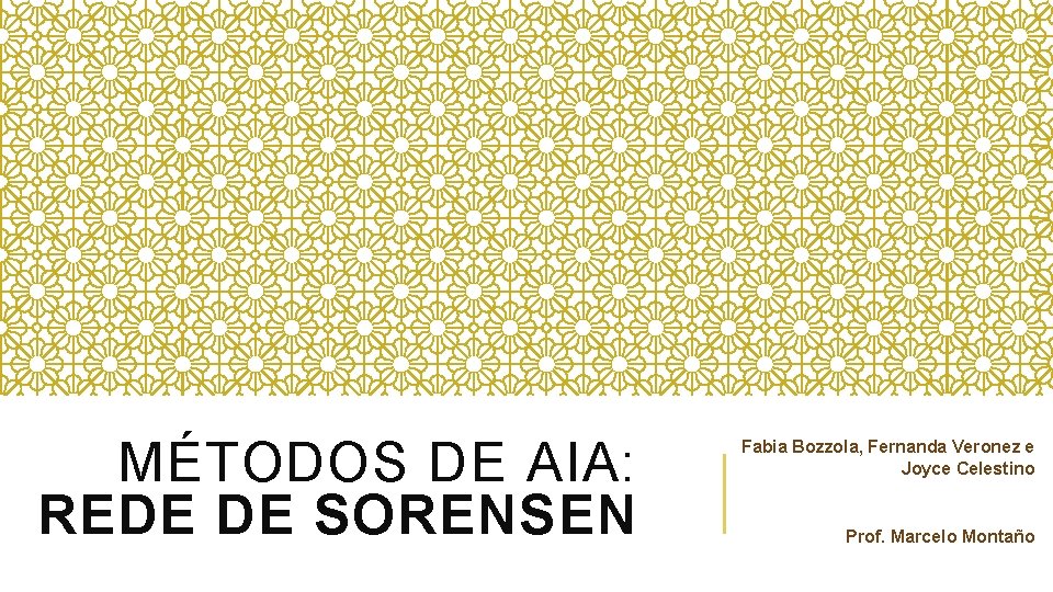 MÉTODOS DE AIA: REDE DE SORENSEN Fabia Bozzola, Fernanda Veronez e Joyce Celestino Prof.