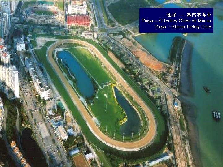 氹仔 -- 澳門賽馬會 Taipa -- O Jockey Clube de Macau Taipa -- Macau Jockey