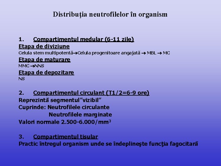 Distribuţia neutrofilelor în organism 1. Compartimentul medular (6 -11 zile) Etapa de diviziune Celula