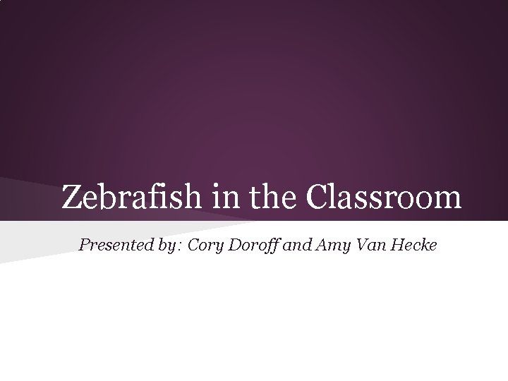 Zebrafish in the Classroom Presented by: Cory Doroff and Amy Van Hecke 