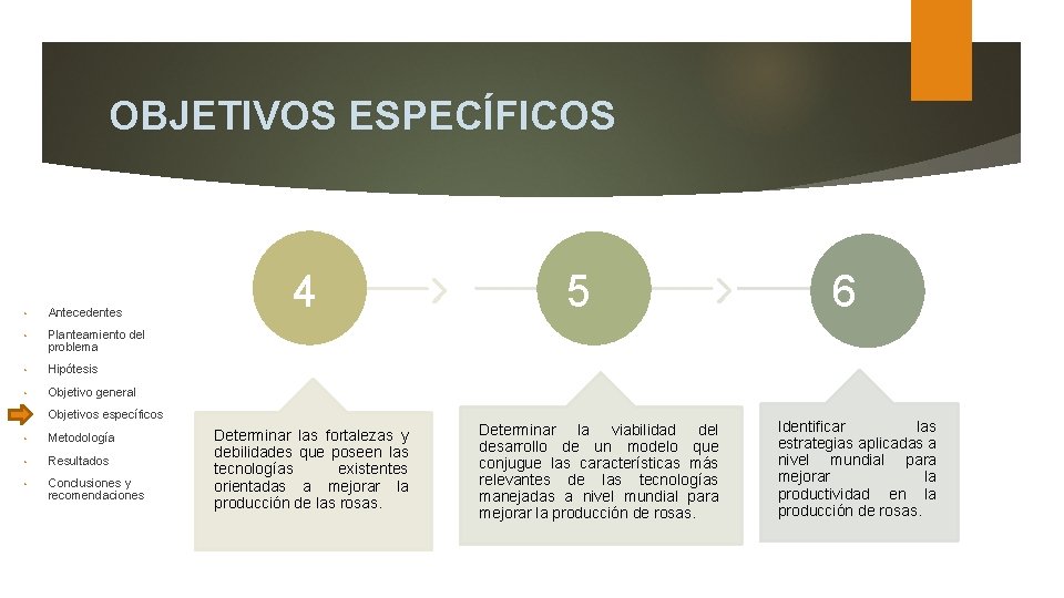 OBJETIVOS ESPECÍFICOS • Antecedentes • Planteamiento del problema • Hipótesis • Objetivo general •