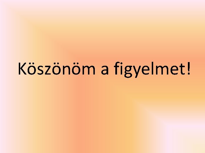 Köszönöm a figyelmet! 