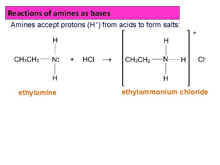 Reactions of amines as bases Amines accept protons (H+) from acids to form salts: