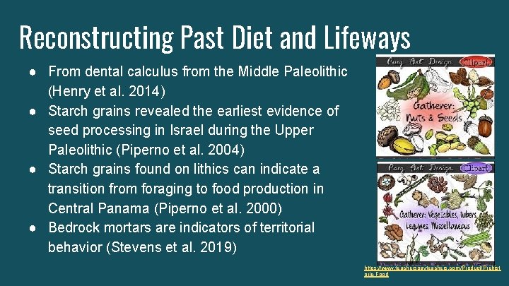 Reconstructing Past Diet and Lifeways ● From dental calculus from the Middle Paleolithic (Henry