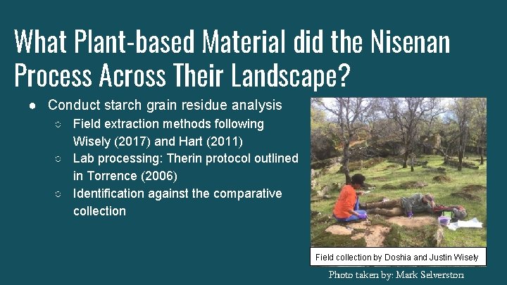 What Plant-based Material did the Nisenan Process Across Their Landscape? ● Conduct starch grain