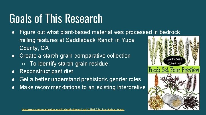 Goals of This Research ● Figure out what plant-based material was processed in bedrock