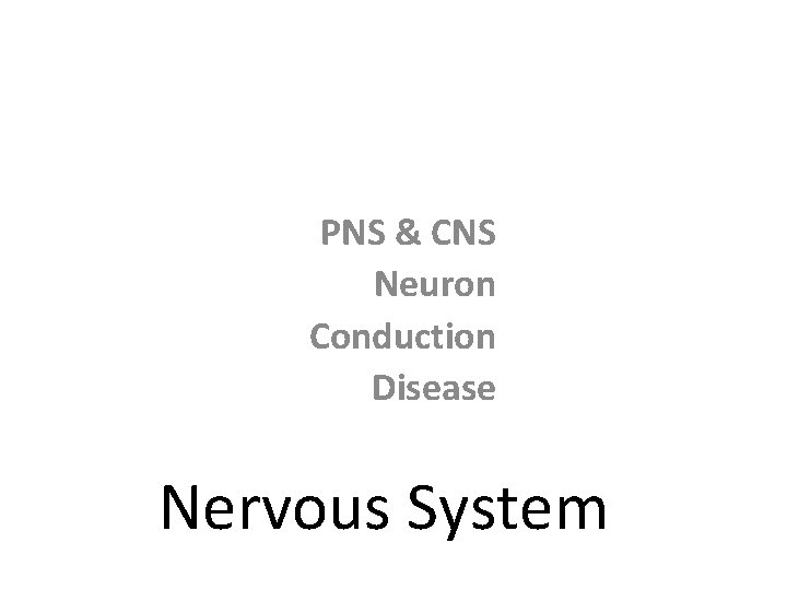 PNS & CNS Neuron Conduction Disease Nervous System 