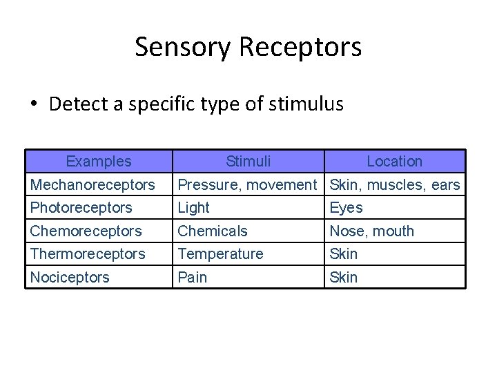 Sensory Receptors • Detect a specific type of stimulus Examples Stimuli Location Mechanoreceptors Pressure,