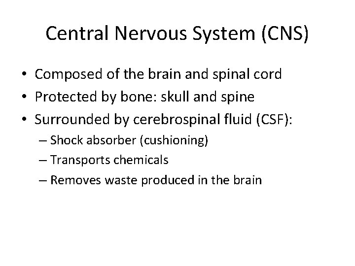 Central Nervous System (CNS) • Composed of the brain and spinal cord • Protected